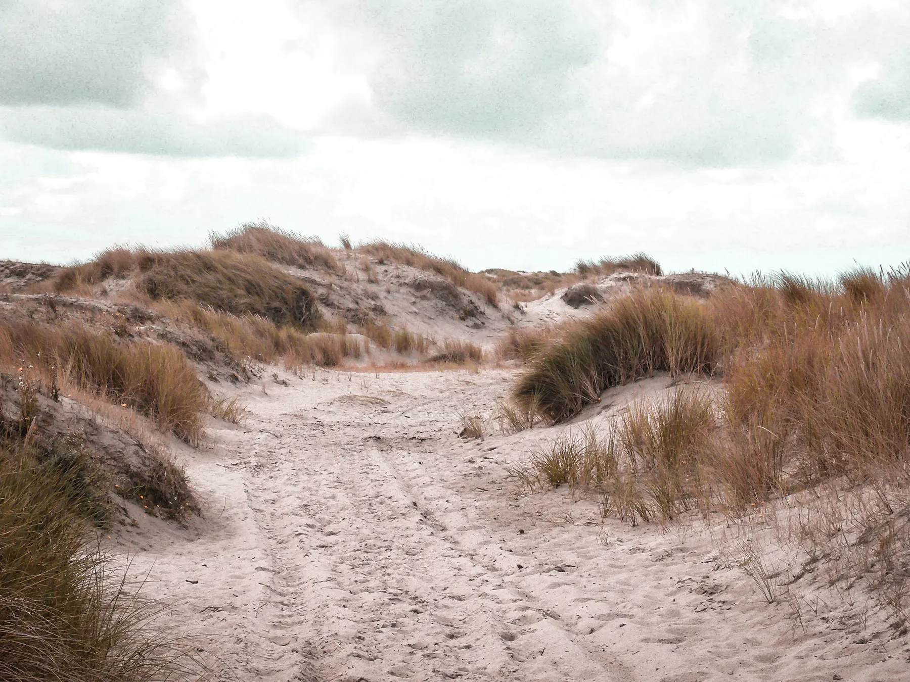 Dunes on the Dutch coast